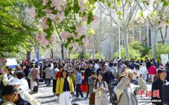 天津大学举行海棠季校园开放日 超十万人共赴春日之约